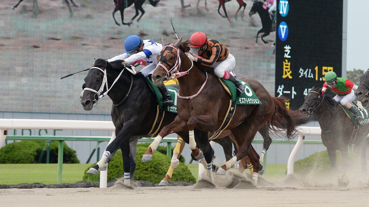 Review: American Raider Wins Twenty-Fifth Running Of The ... Image 4